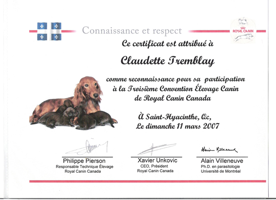 attestations de cours ack
