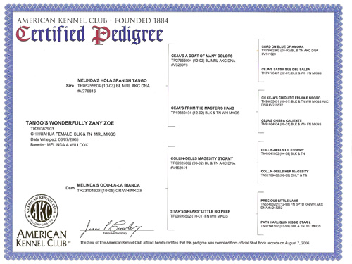 Pedegree zoé