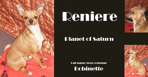 Planet of saturn femelle